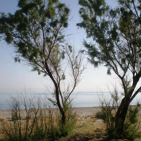 Summer 2* Maleme