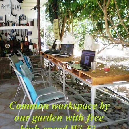 Guest house Summer