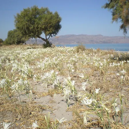 Guest house Summer Maleme (Crete)