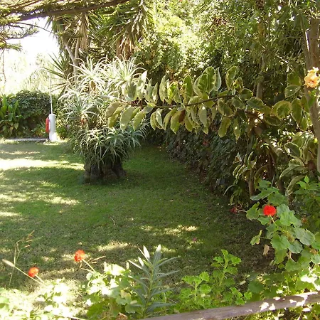 Summer Guest house Maleme (Crete)